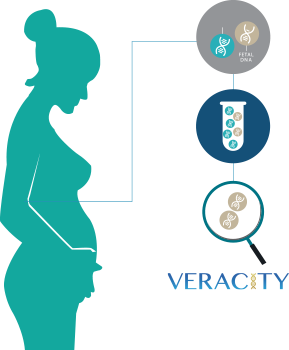 Методика внутріутробної діагностики на вродженні вади плода VERACITY