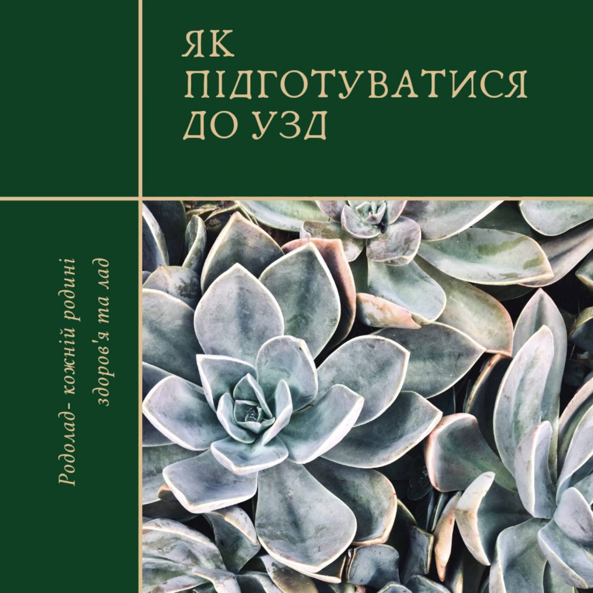 Підготовка до УЗД гінекологічного профілю